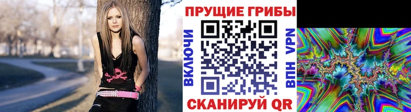 Псилоцибиновые грибы GOLDEN TEACHER где купить наркотик mega рабочий сайт Сорочинск